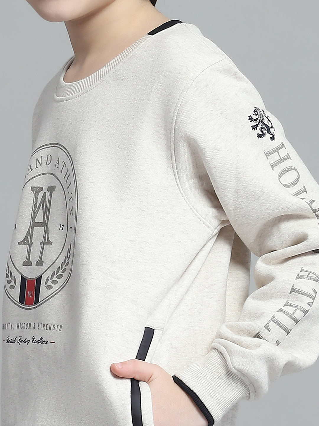 Boys Beige Printed Round Neck Full Sleeve Sweatshirt