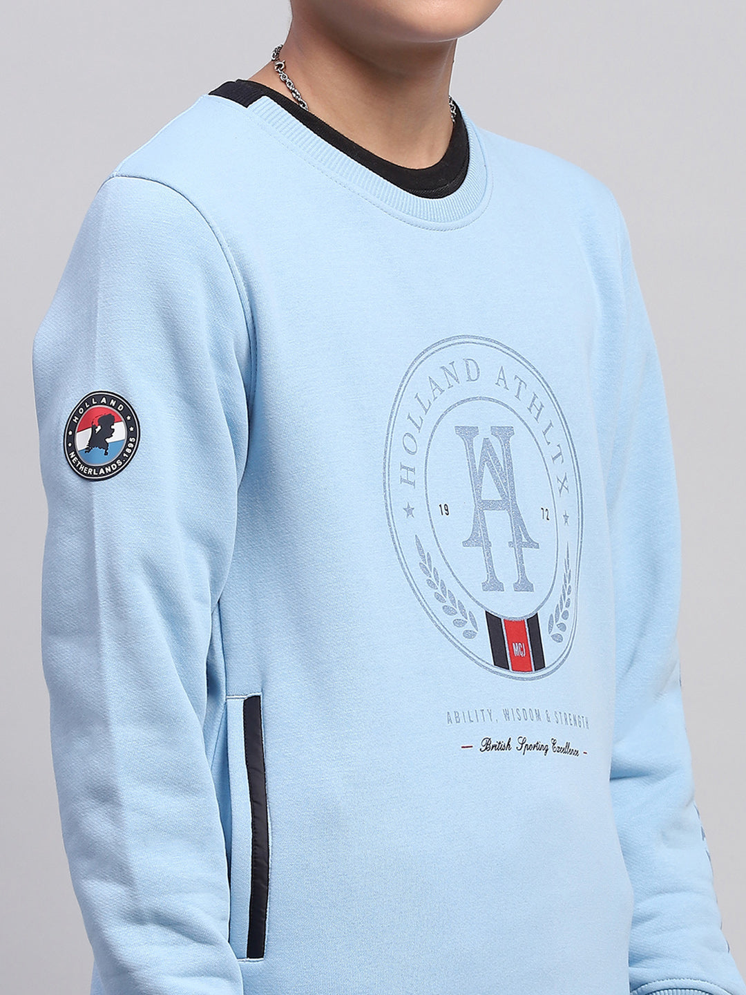 Boys Sky Blue Printed Round Neck Full Sleeve Sweatshirt