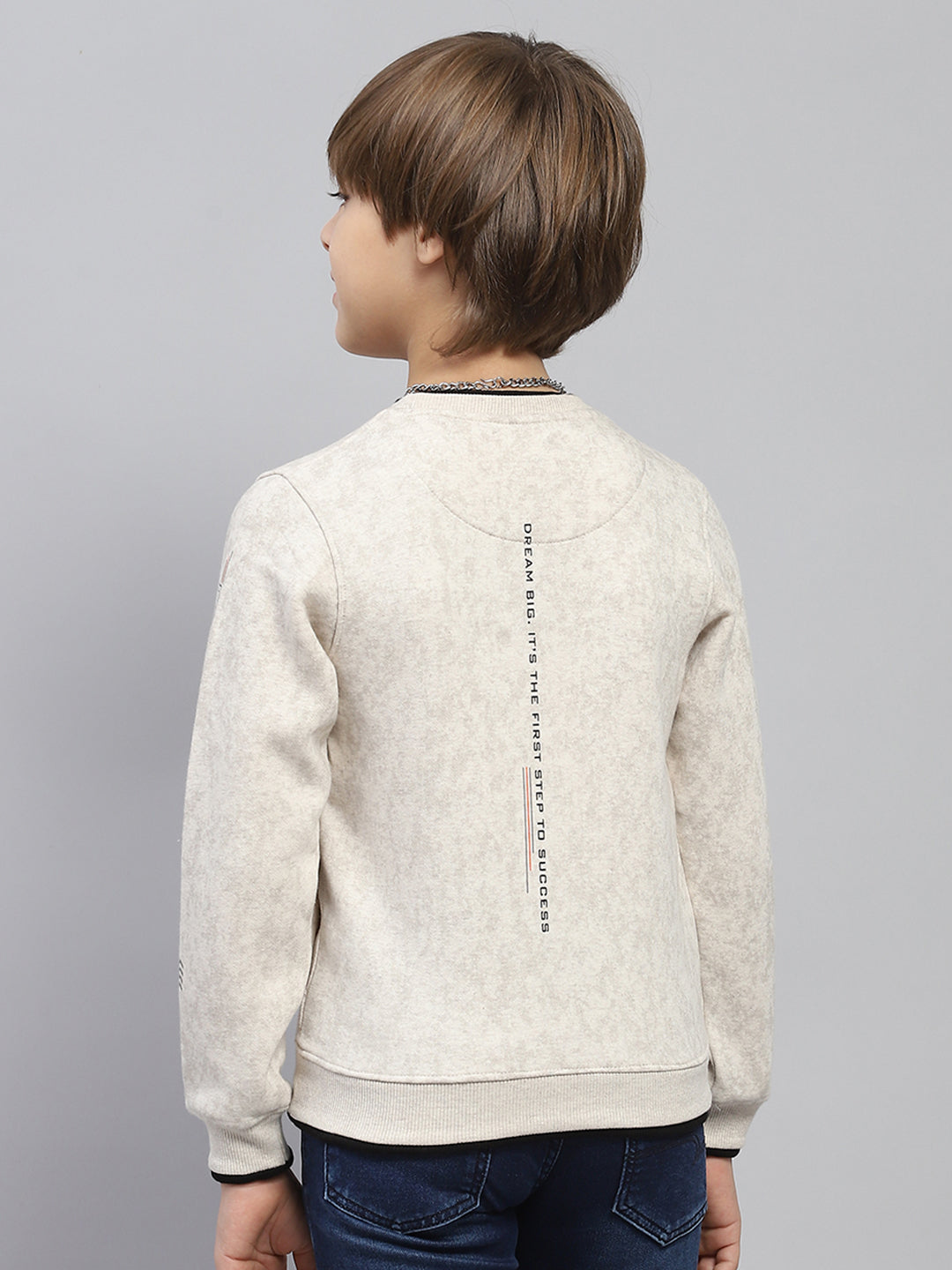 Boys Beige Printed Round Neck Full Sleeve Sweatshirt
