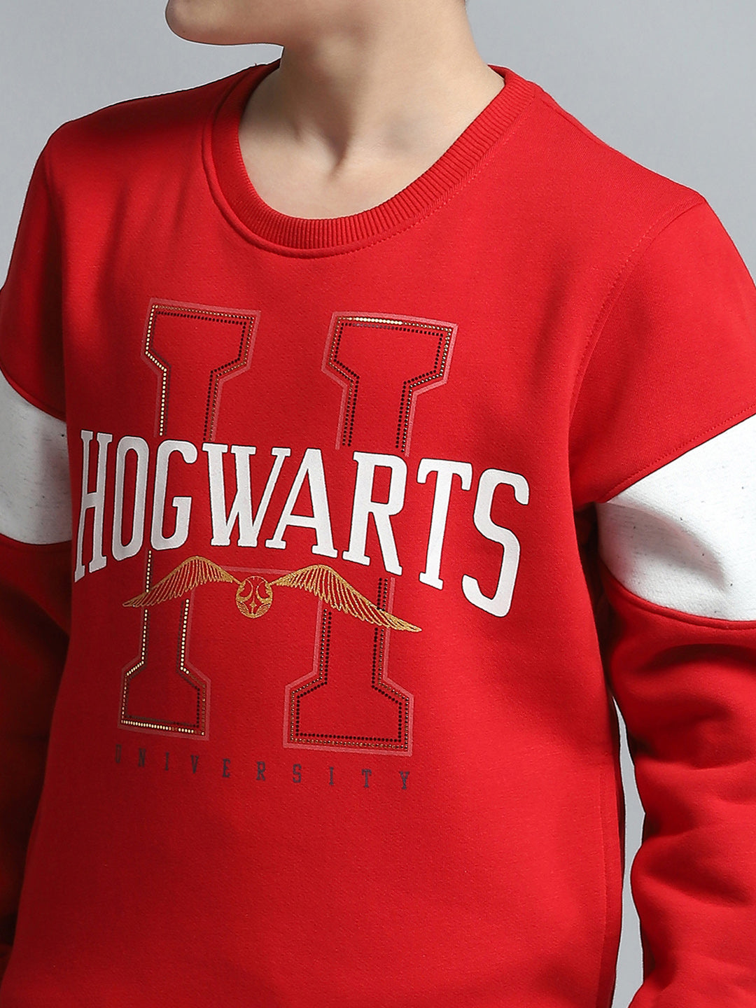 Boys Red Printed Round Neck Full Sleeve Sweatshirt