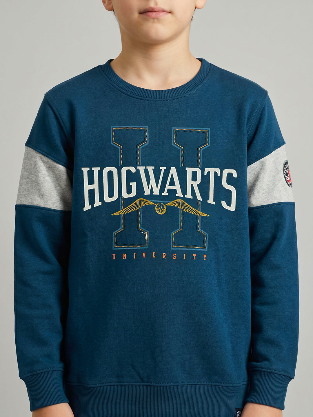 Boys Teal Blue Printed Round Neck Full Sleeve Sweatshirt