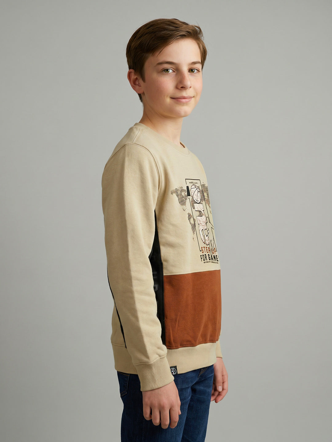 Boys Beige Printed Round Neck Full Sleeve Sweatshirt