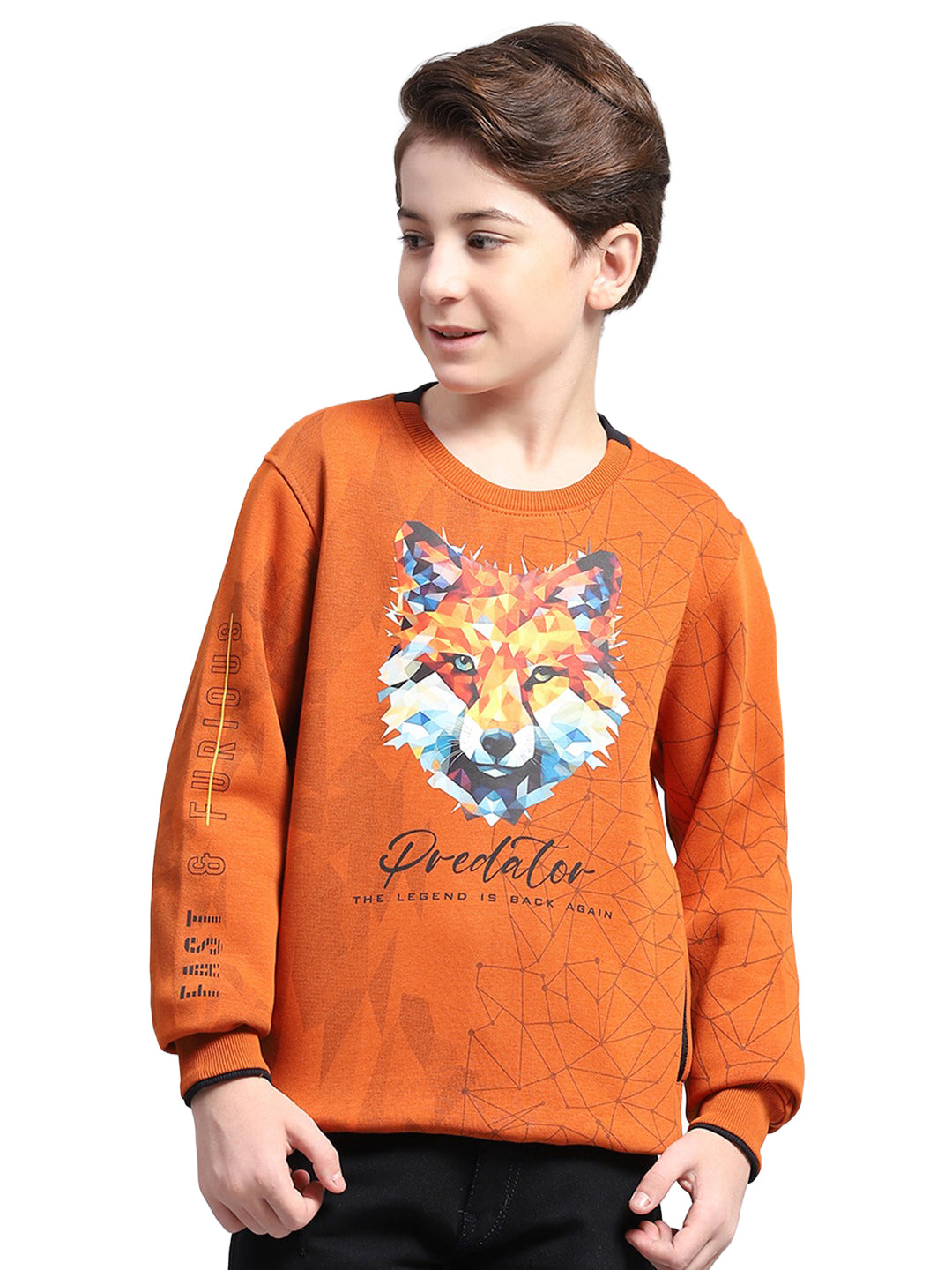 Boys Rust Printed Round Neck Full Sleeve Sweatshirt