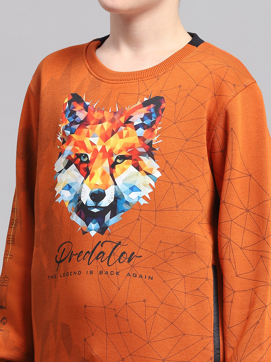Boys Rust Printed Round Neck Full Sleeve Sweatshirt