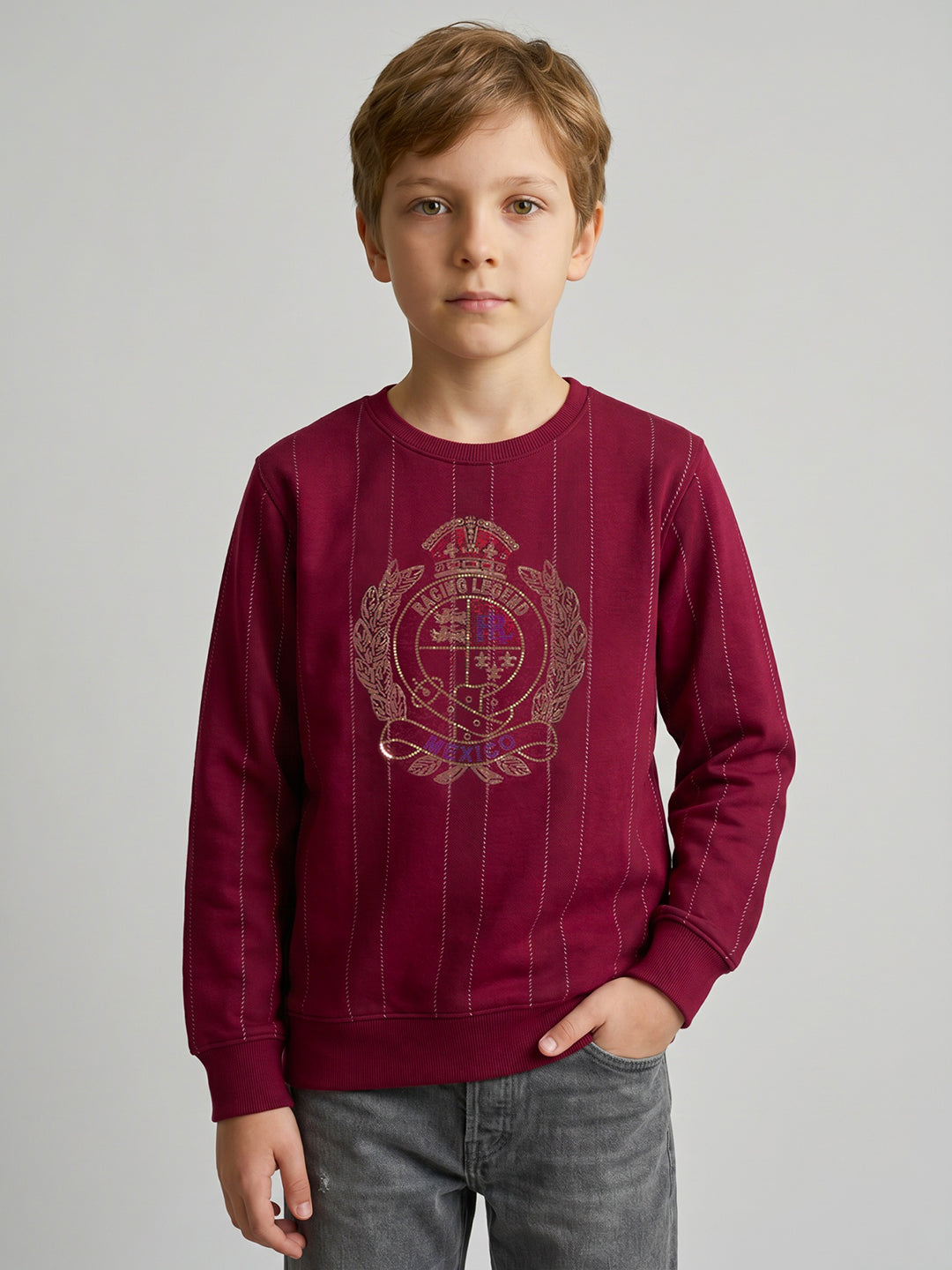 Boys Maroon Embellished Round Neck Full Sleeve Sweatshirt