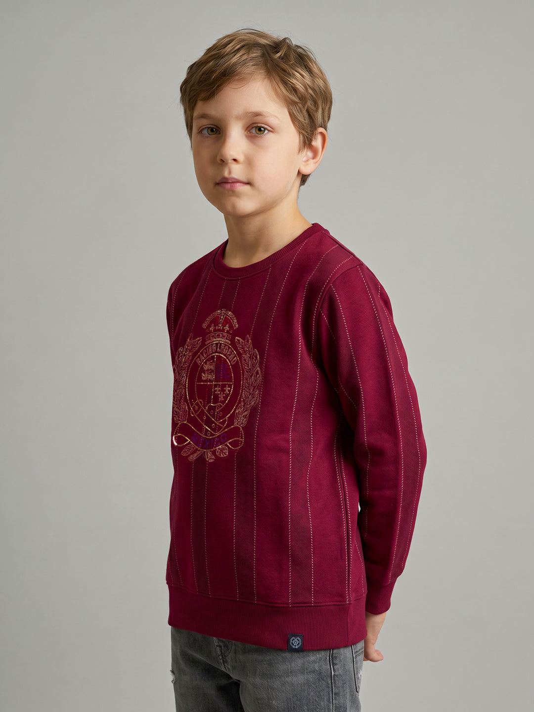 Boys Maroon Embellished Round Neck Full Sleeve Sweatshirt