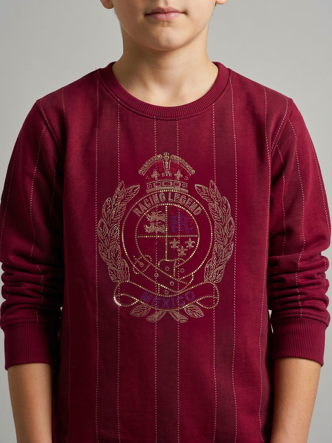 Boys Maroon Embellished Round Neck Full Sleeve Sweatshirt