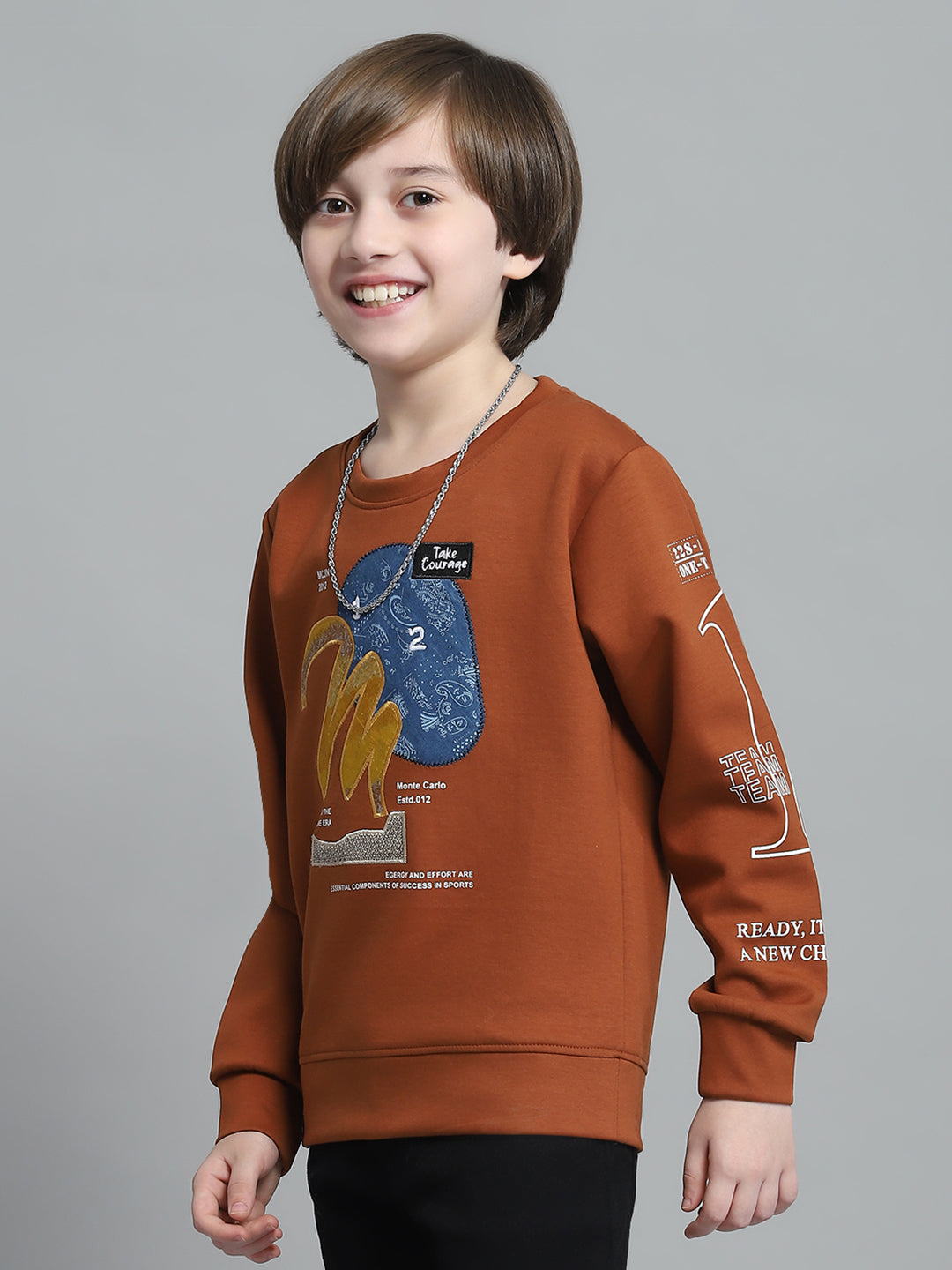 Boys Rust Printed Round Neck Full Sleeve Sweatshirt