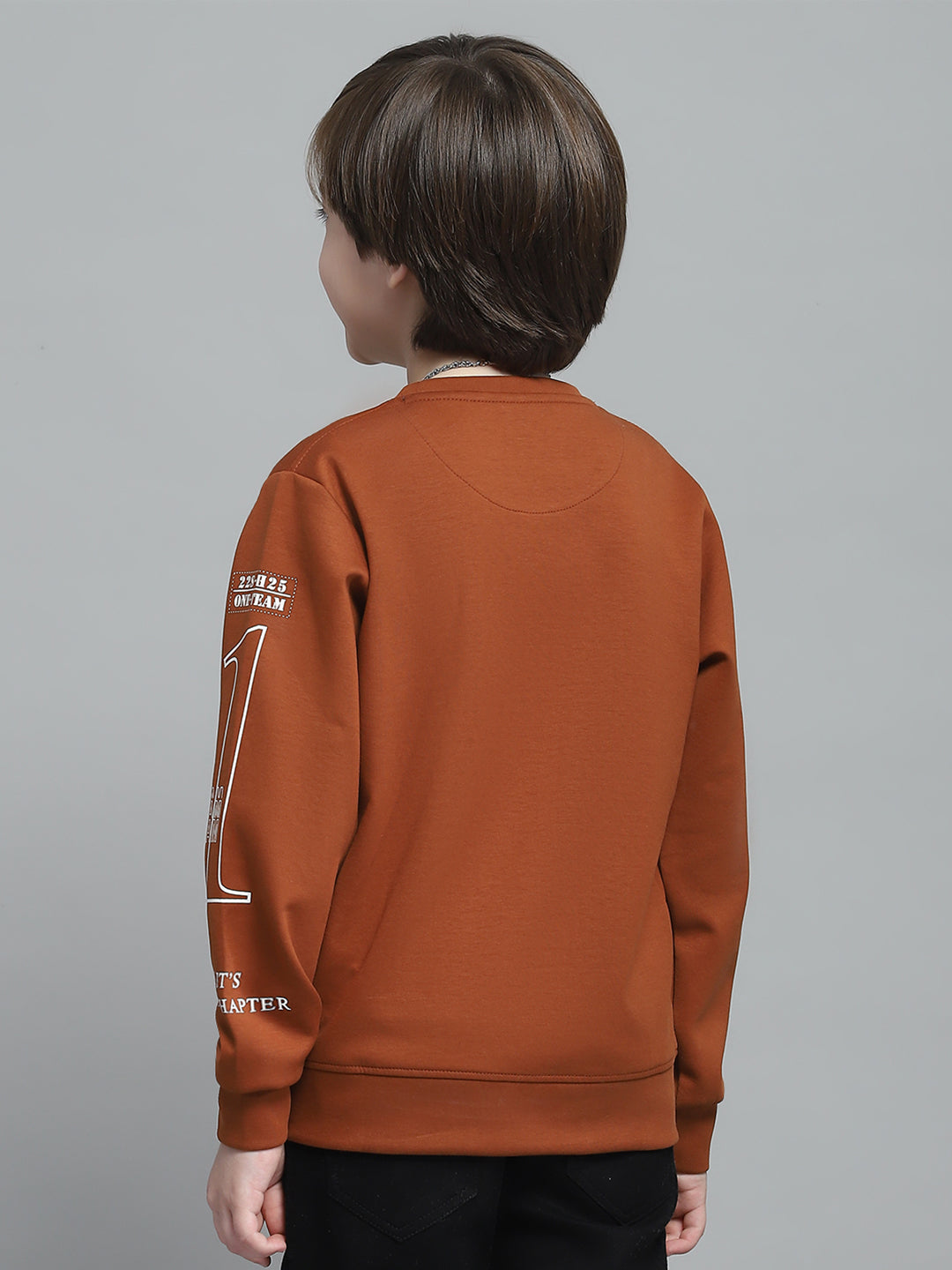 Boys Rust Printed Round Neck Full Sleeve Sweatshirt