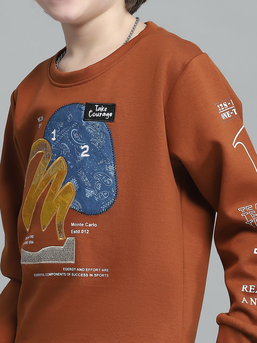 Boys Rust Printed Round Neck Full Sleeve Sweatshirt