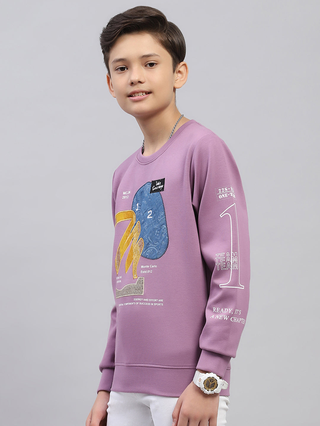 Boys Mauve Printed Round Neck Full Sleeve Sweatshirt