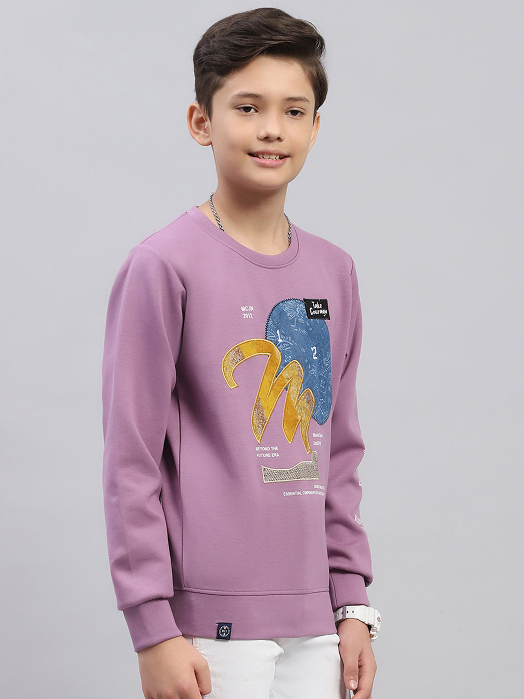 Boys Mauve Printed Round Neck Full Sleeve Sweatshirt