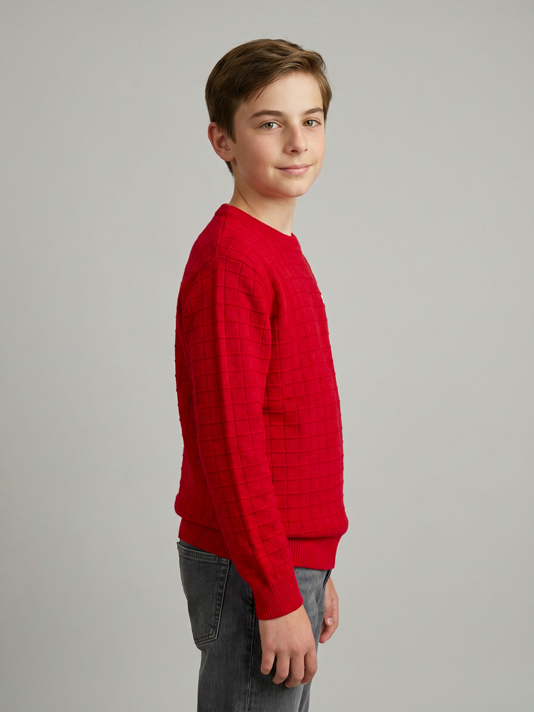 Boys Red Check Round Neck Full Sleeve Pullover