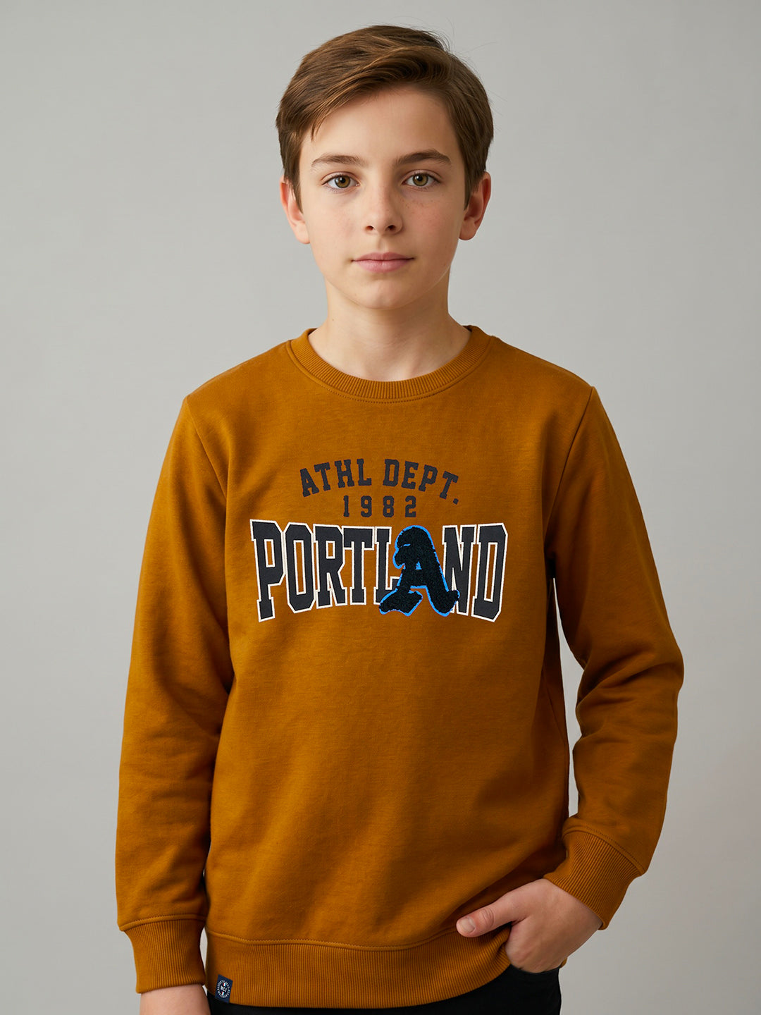 Boys Brown Printed Round Neck Full Sleeve Sweatshirt