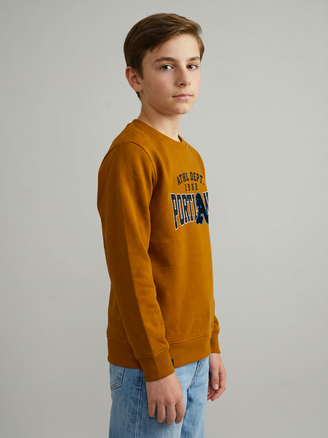 Boys Brown Printed Round Neck Full Sleeve Sweatshirt