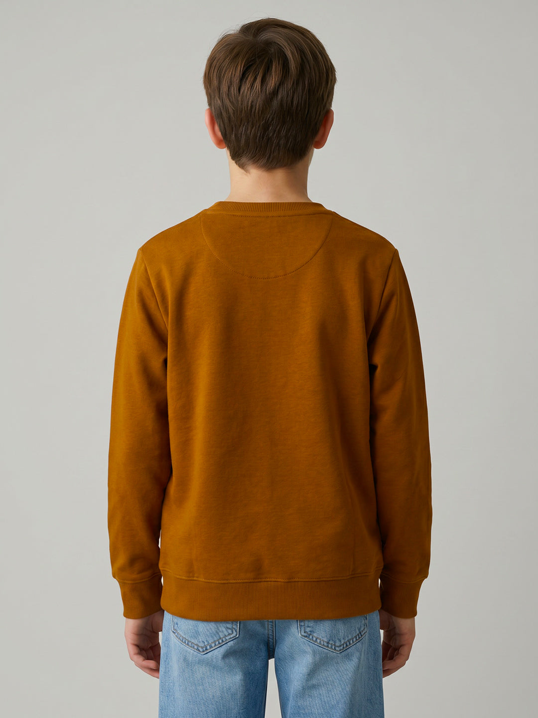 Boys Brown Printed Round Neck Full Sleeve Sweatshirt
