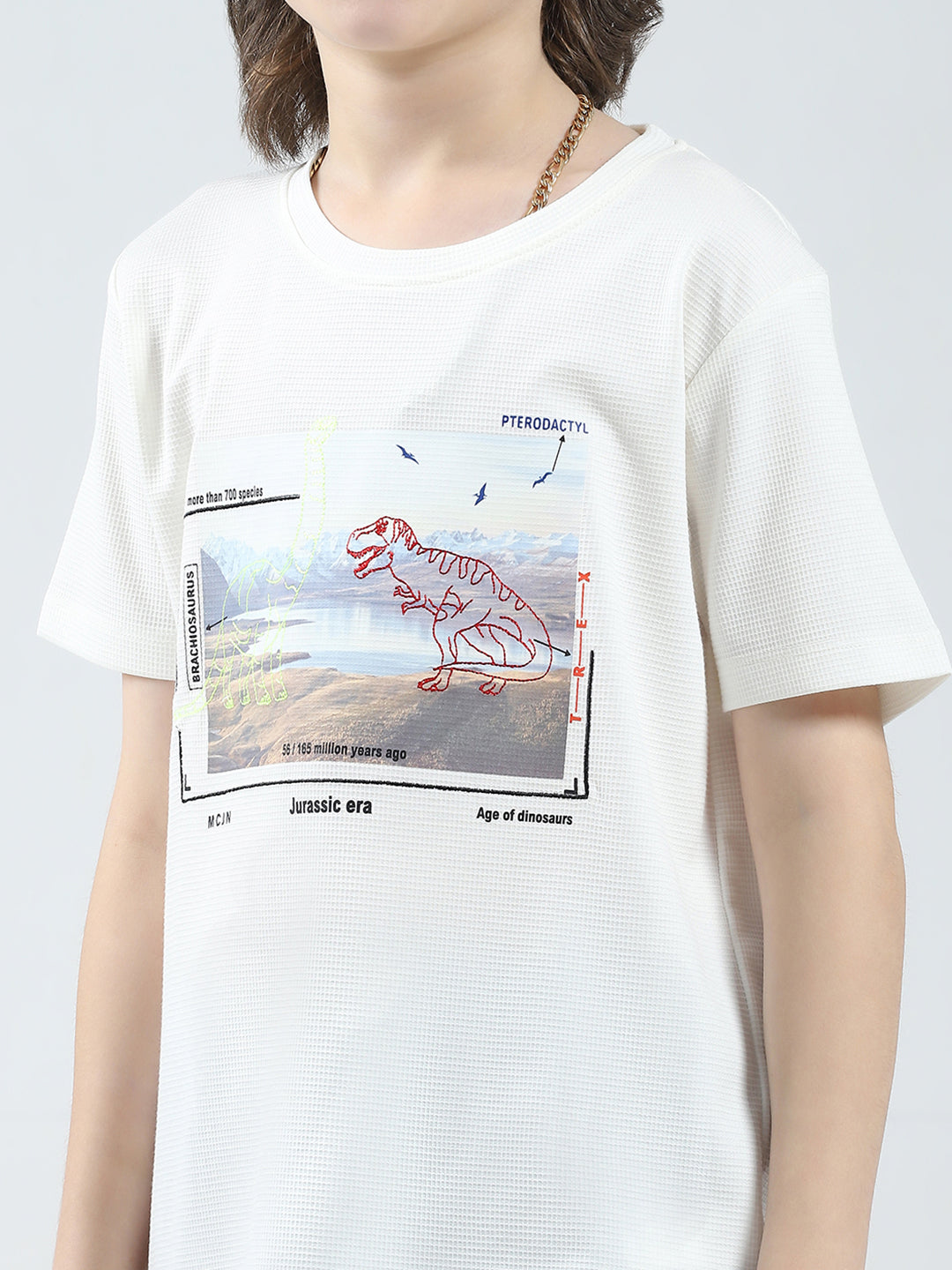 Boys White Printed Round Neck Half Sleeve T-Shirt