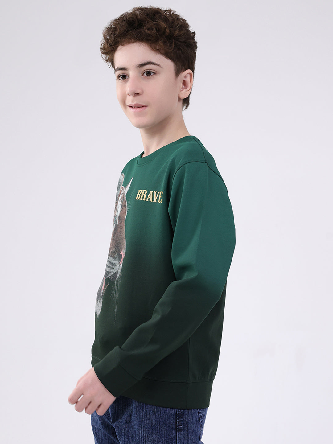 Boys Green Printed Round Neck Full Sleeve Sweatshirt