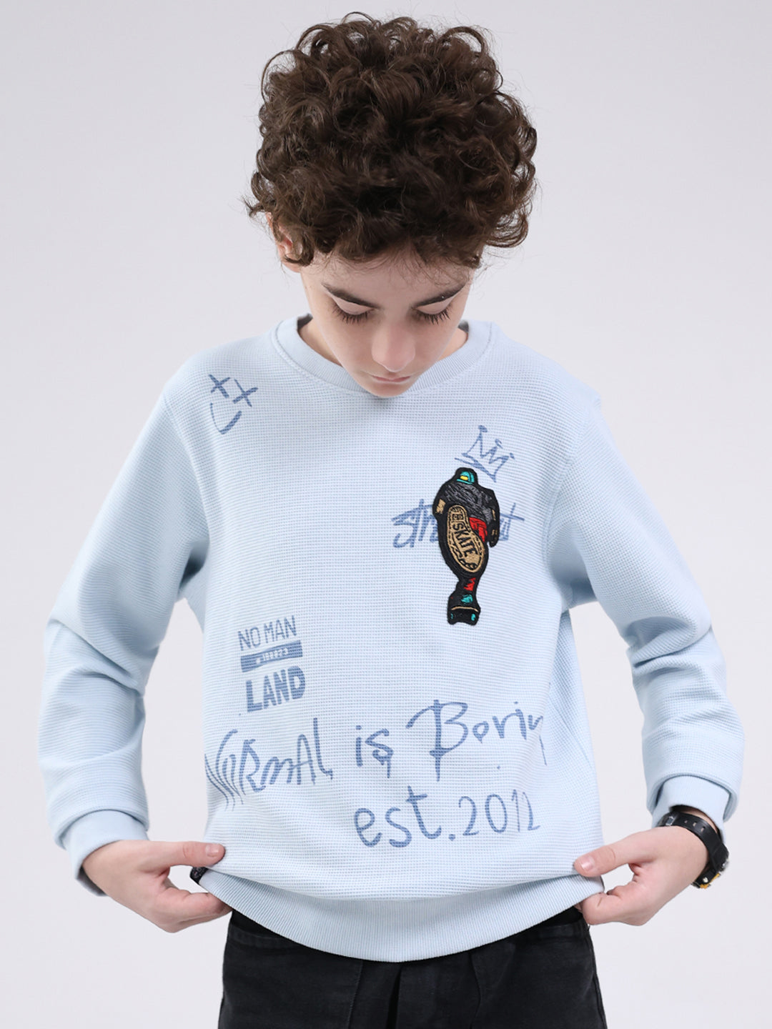 Boys Sky Blue Printed Round Neck Full Sleeve Sweatshirt