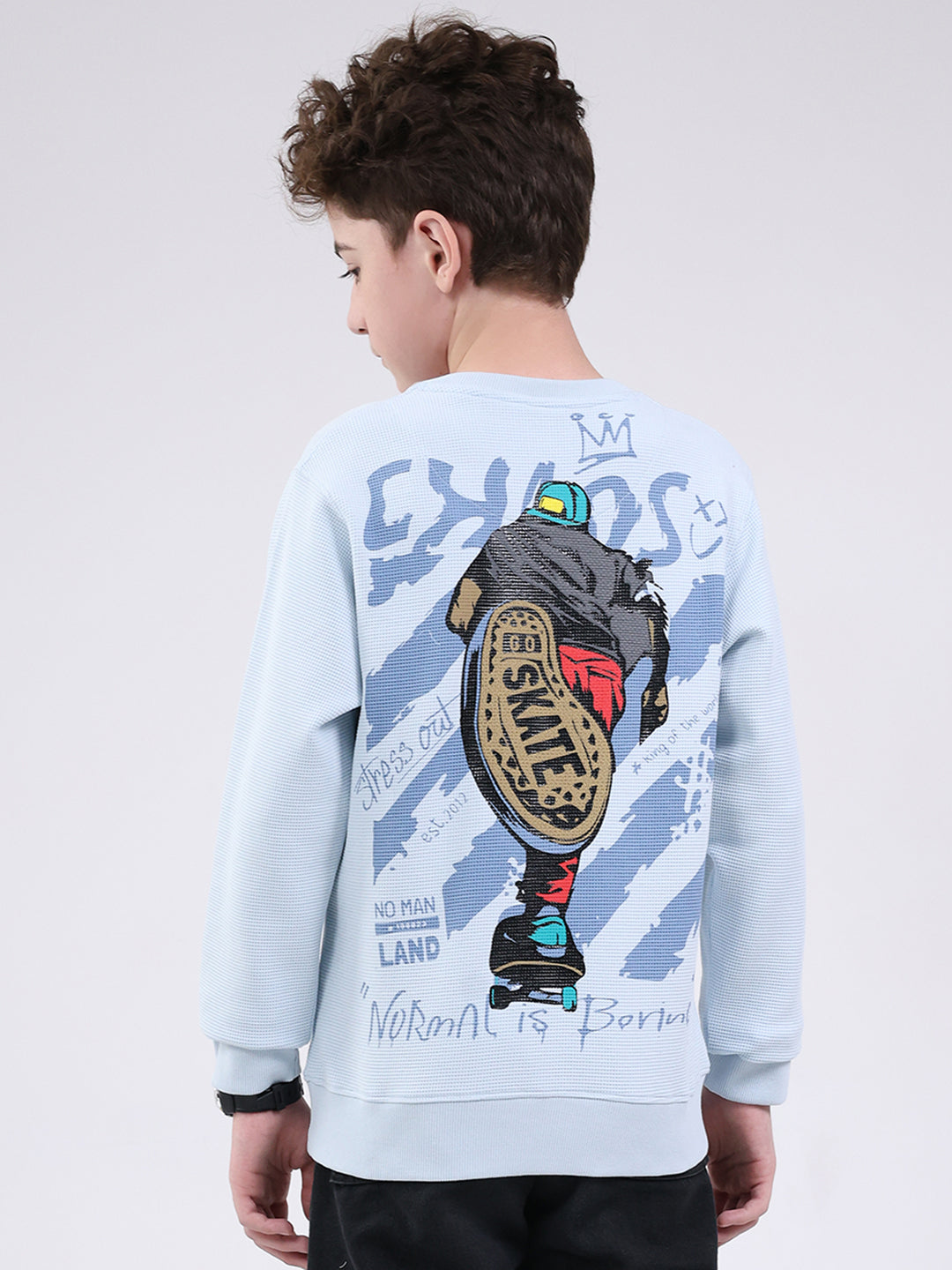 Boys Sky Blue Printed Round Neck Full Sleeve Sweatshirt