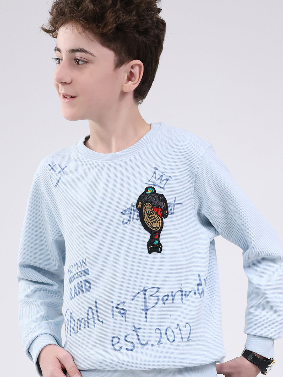 Boys Sky Blue Printed Round Neck Full Sleeve Sweatshirt