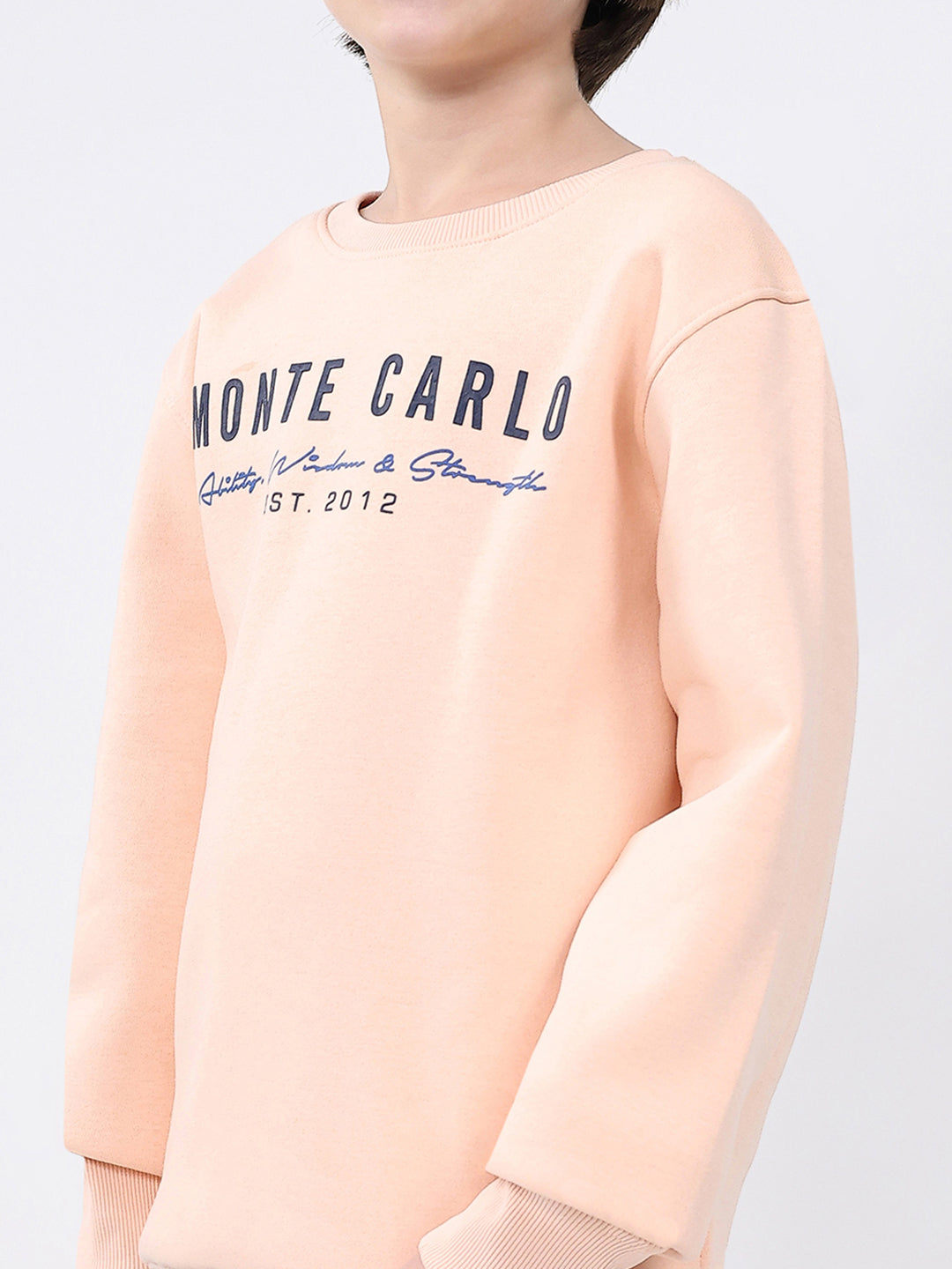 Boys Peach Printed Round Neck Full Sleeve Sweatshirt