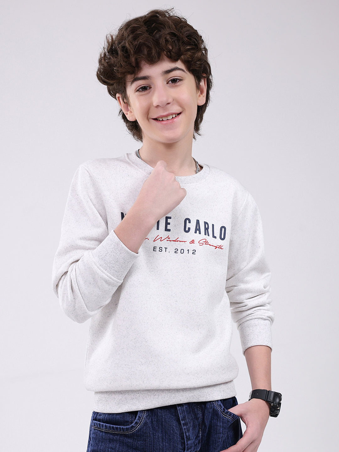 Boys Grey Printed Round Neck Full Sleeve Sweatshirt