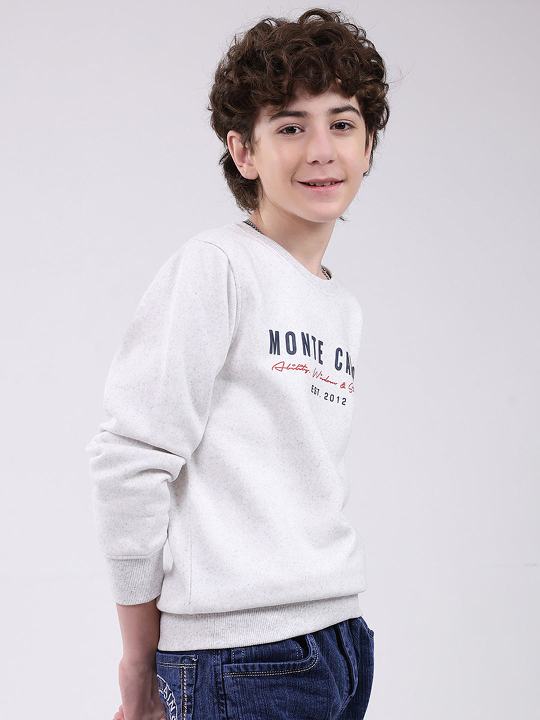 Boys Grey Printed Round Neck Full Sleeve Sweatshirt