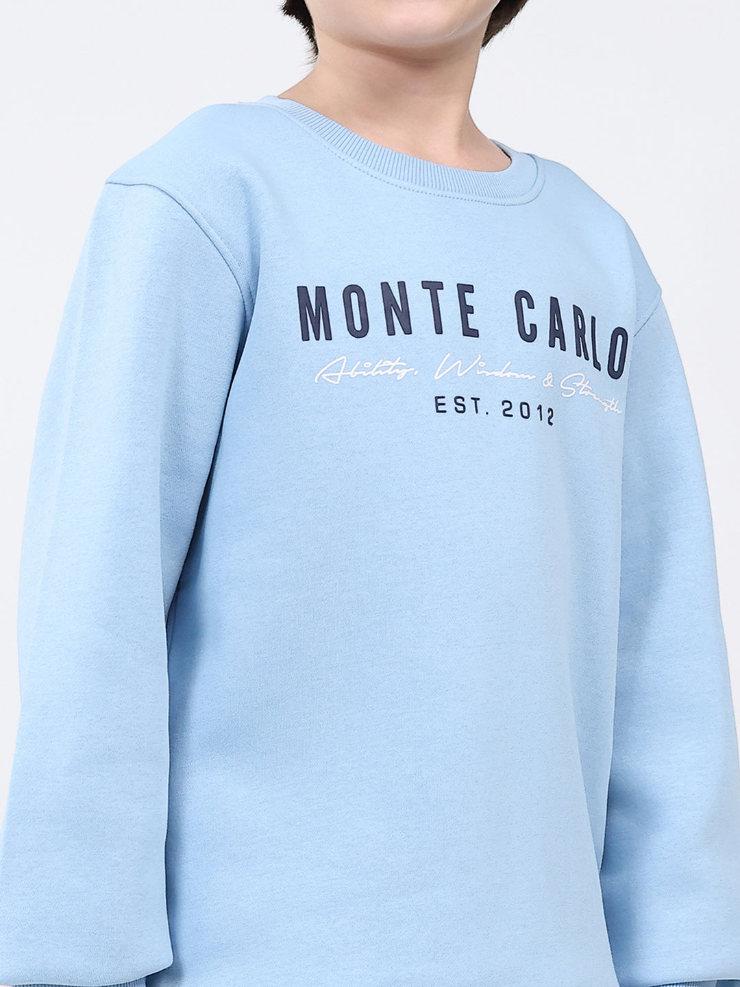 Boys Sky Blue Printed Round Neck Full Sleeve Sweatshirt