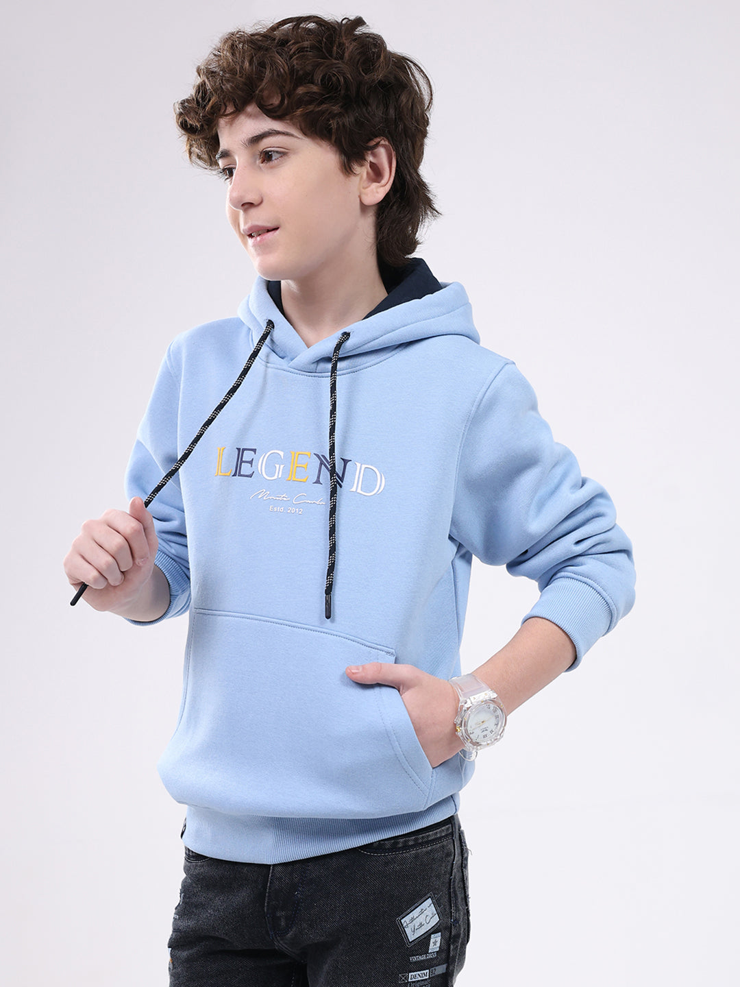 Boys Sky Blue Printed Hooded Full Sleeve Sweatshirt