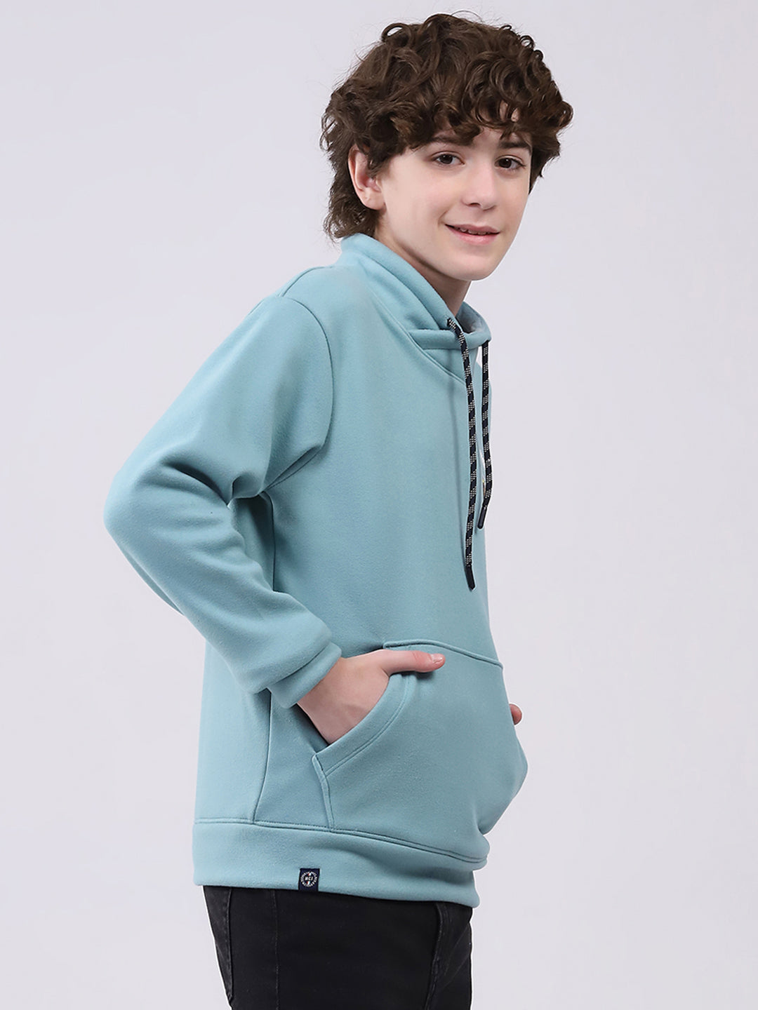 Boys Green Printed Mock Neck Full Sleeve Sweatshirt