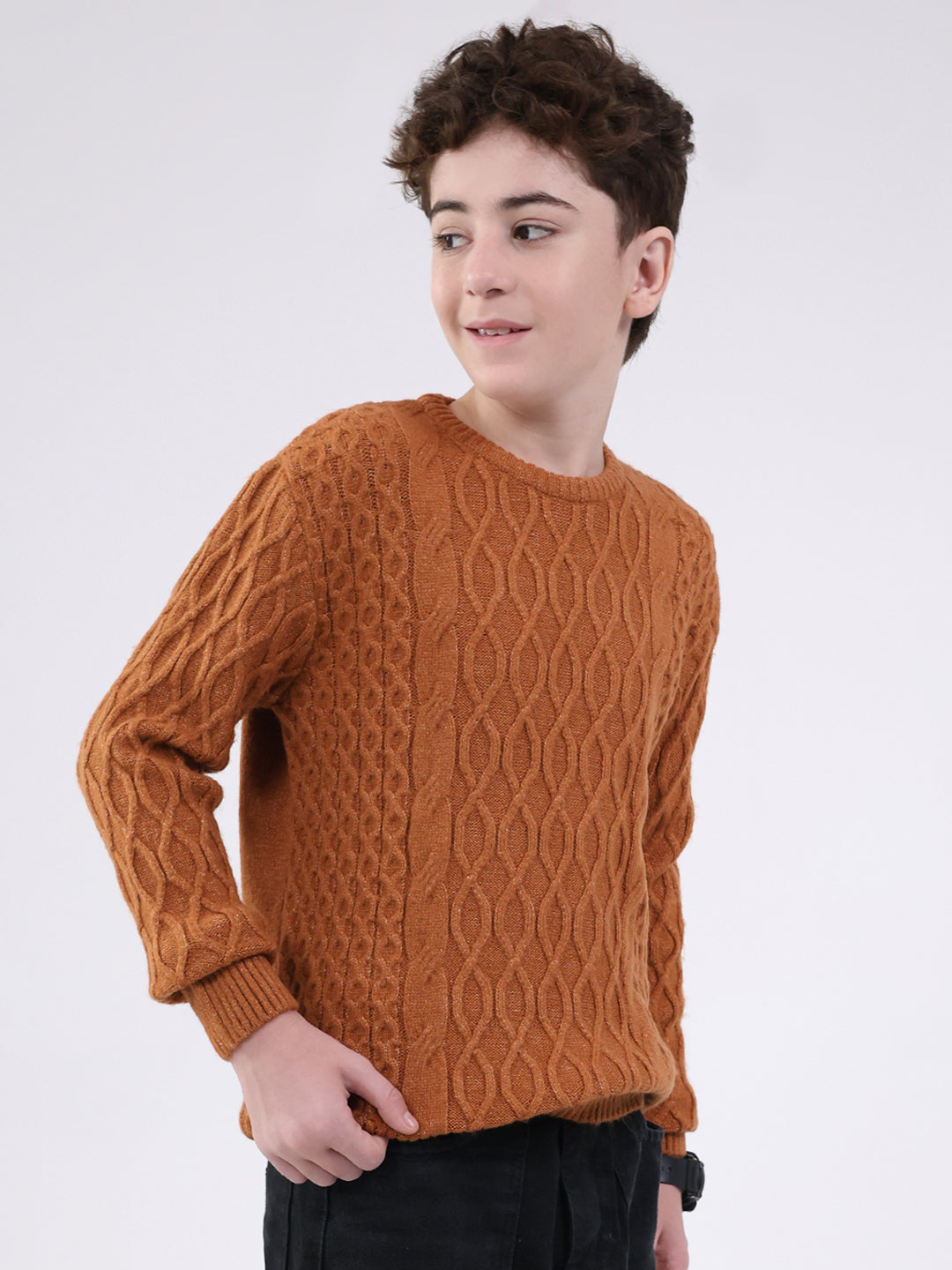 Boys Rust Self Design Round Neck Full Sleeve Pullover