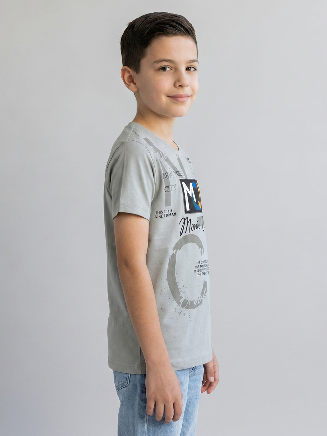 Boys Grey Printed Round Neck Half Sleeve T-Shirt