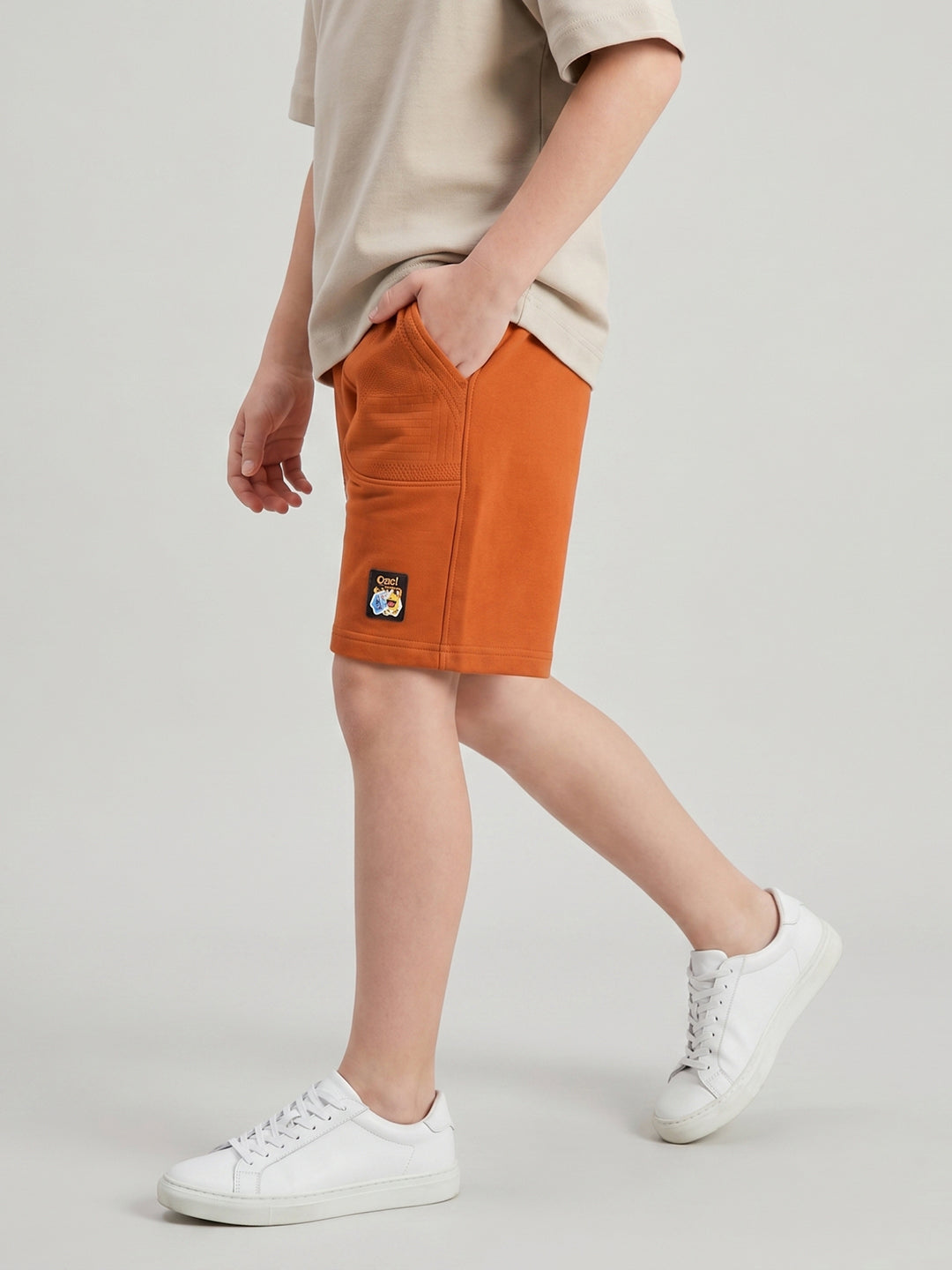Boys Rust Solid Regular Fit Shorts