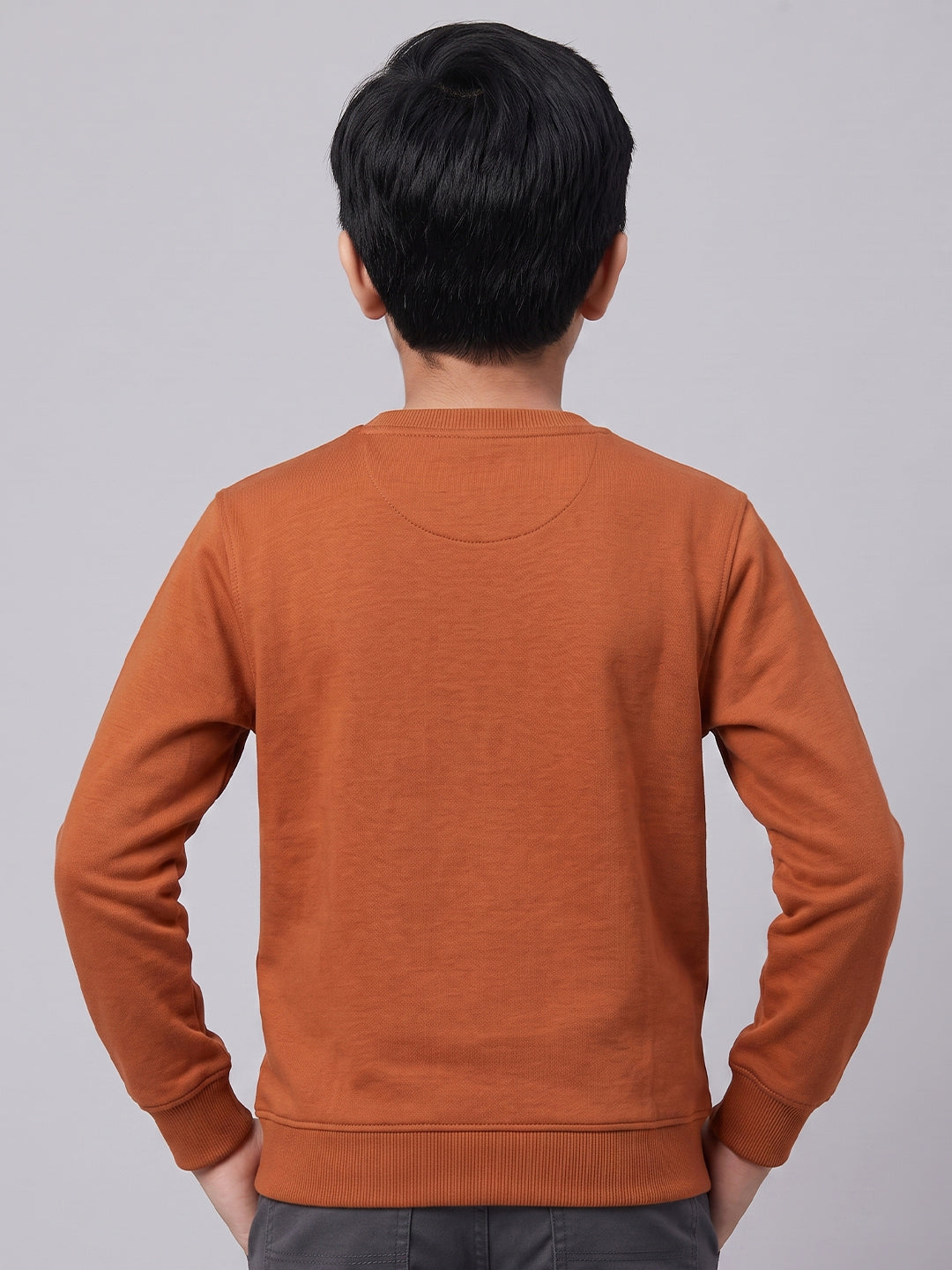Boys Rust Printed Round Neck Full Sleeve Sweatshirt