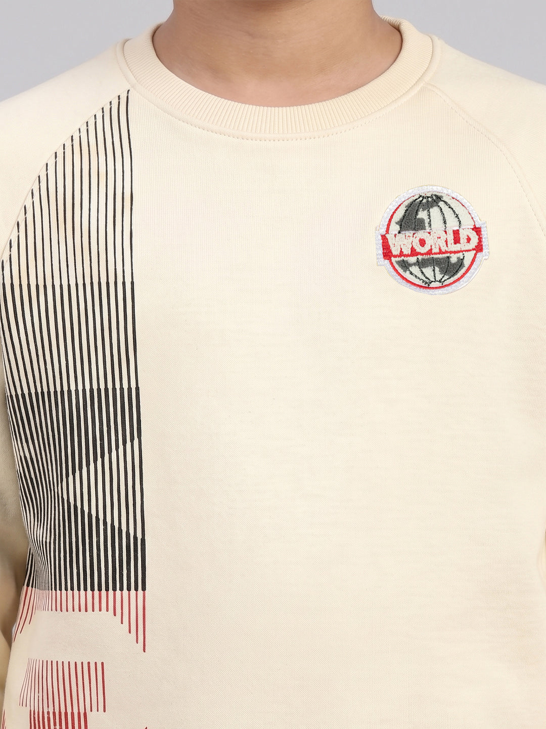 Boys Beige Printed Round Neck Full Sleeve Sweatshirt