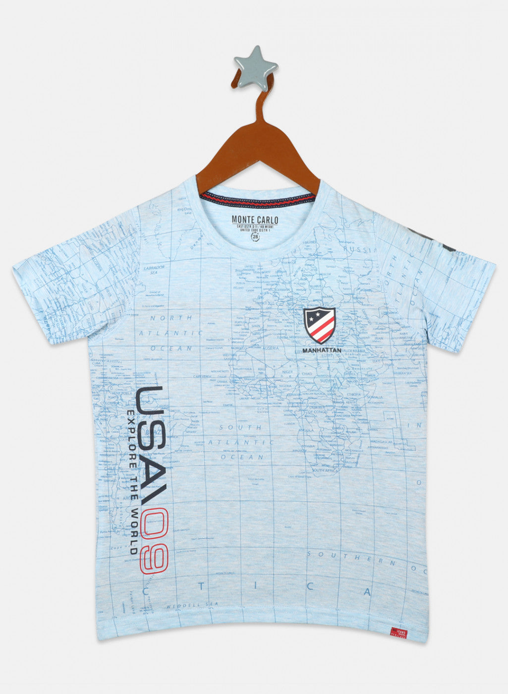 Boys Sky Blue Printed T-Shirts
