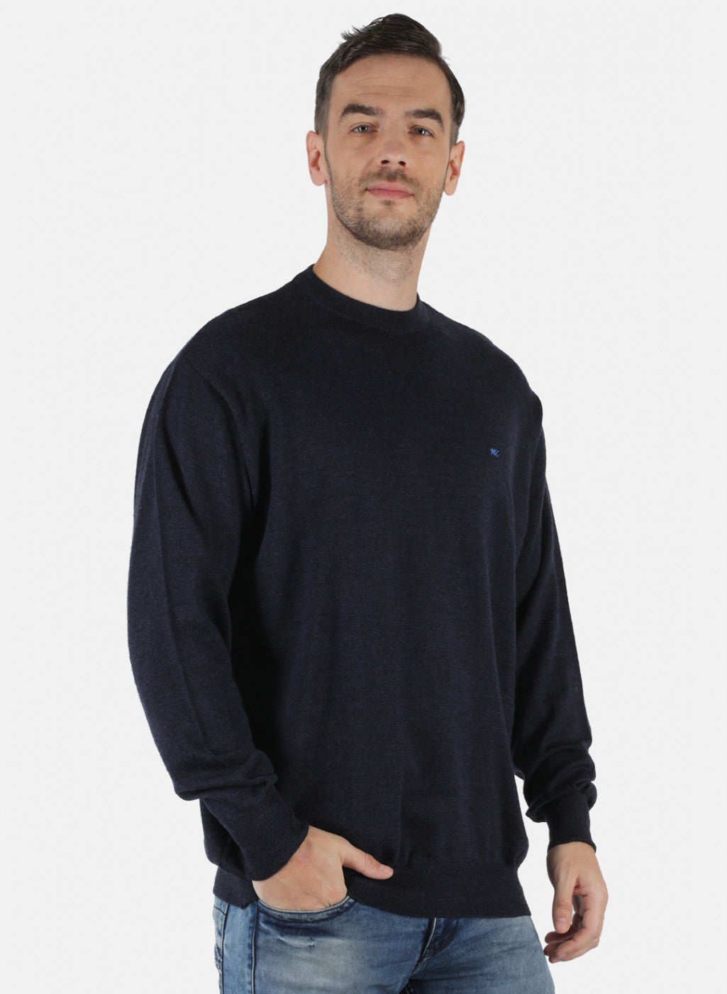 Men NAvy Blue Solid Pullover