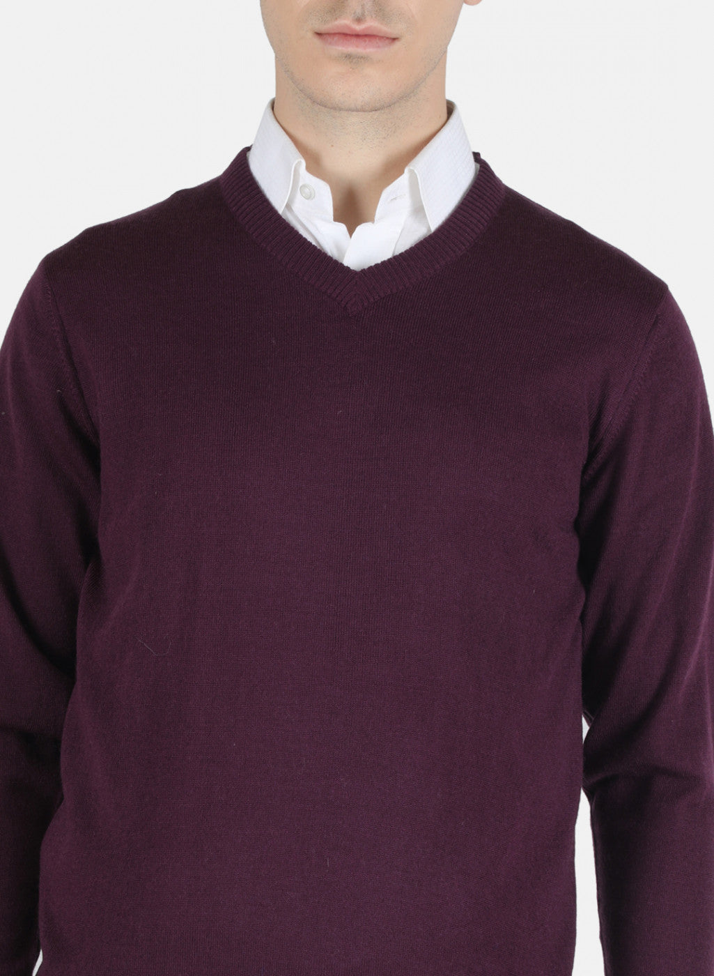 Men Purple Solid Pullover