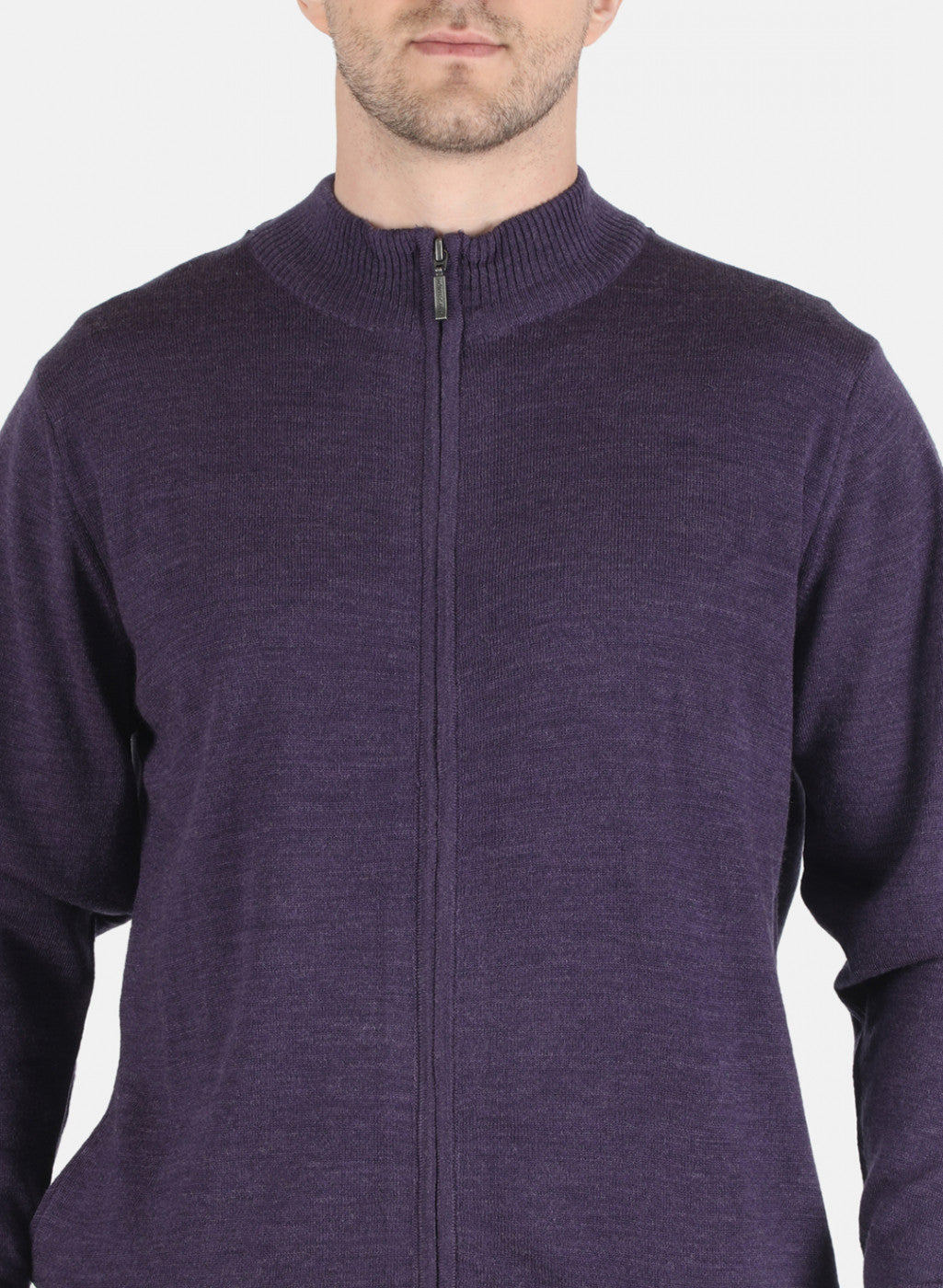 Men Purple Solid Pullover