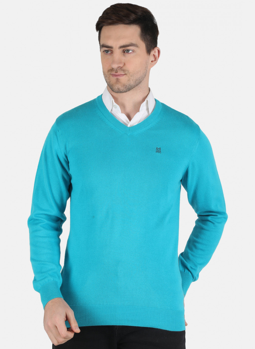 Men Blue Solid Pullover