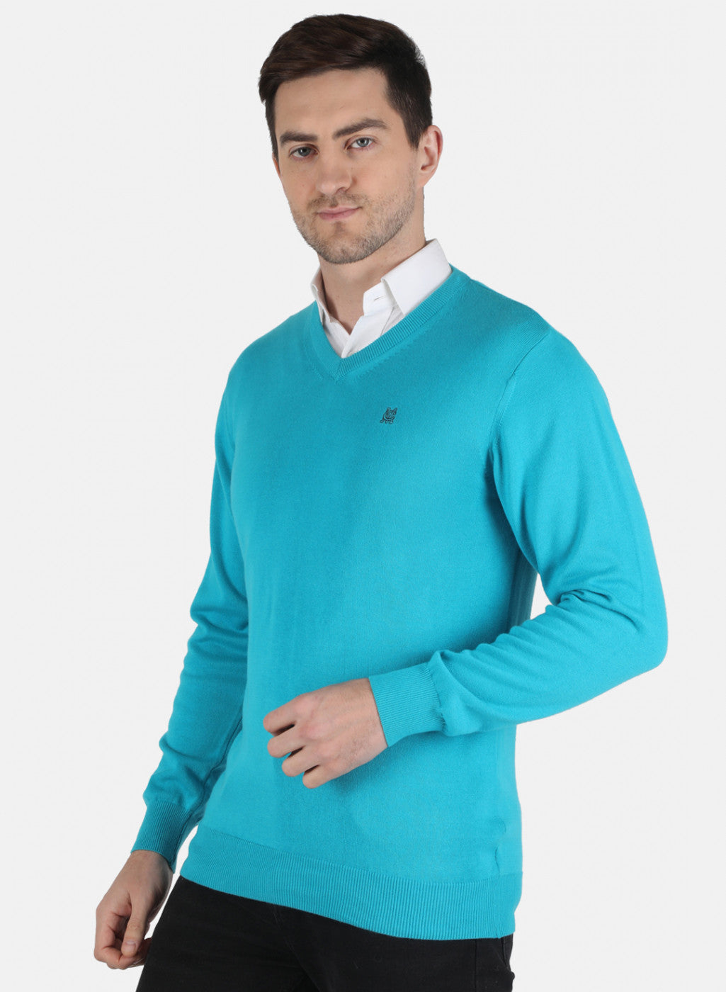 Men Blue Solid Pullover