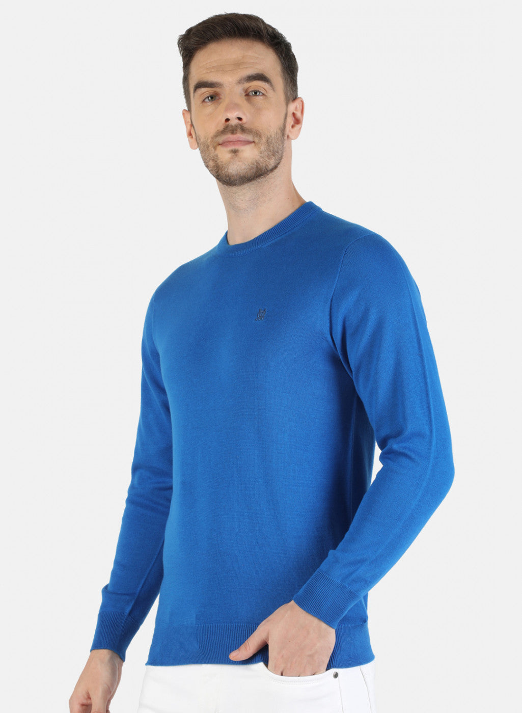 Men Blue Solid Pullover
