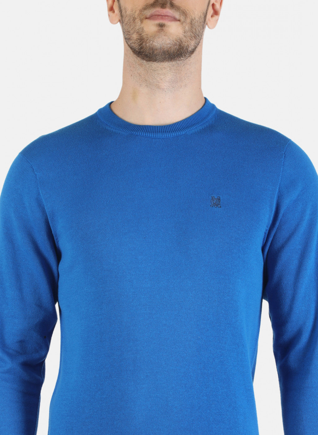 Men Blue Solid Pullover
