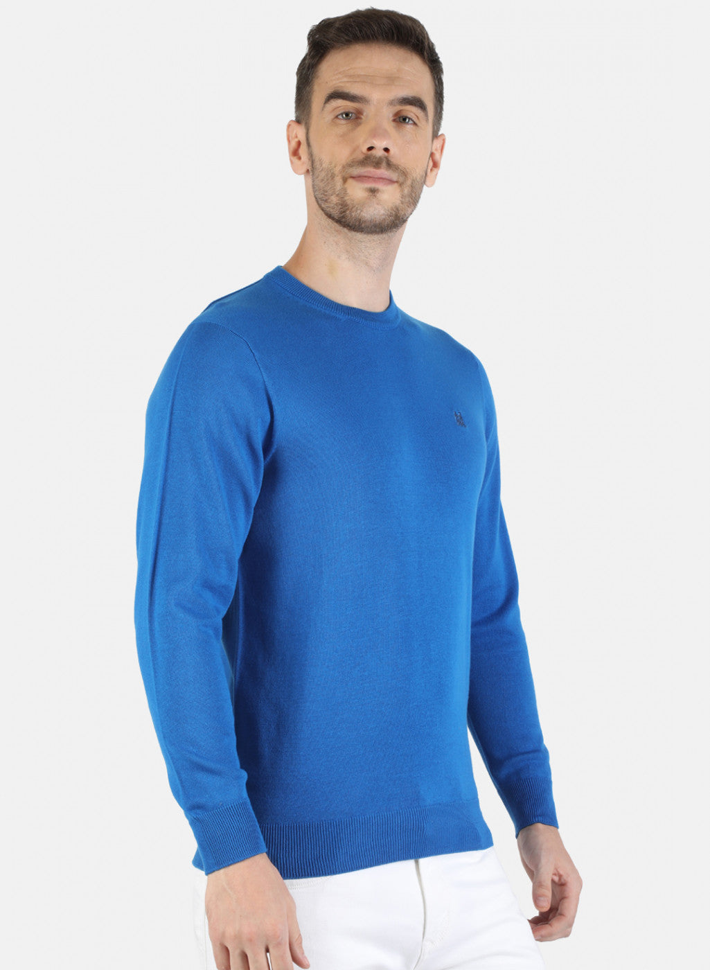 Men Blue Solid Pullover