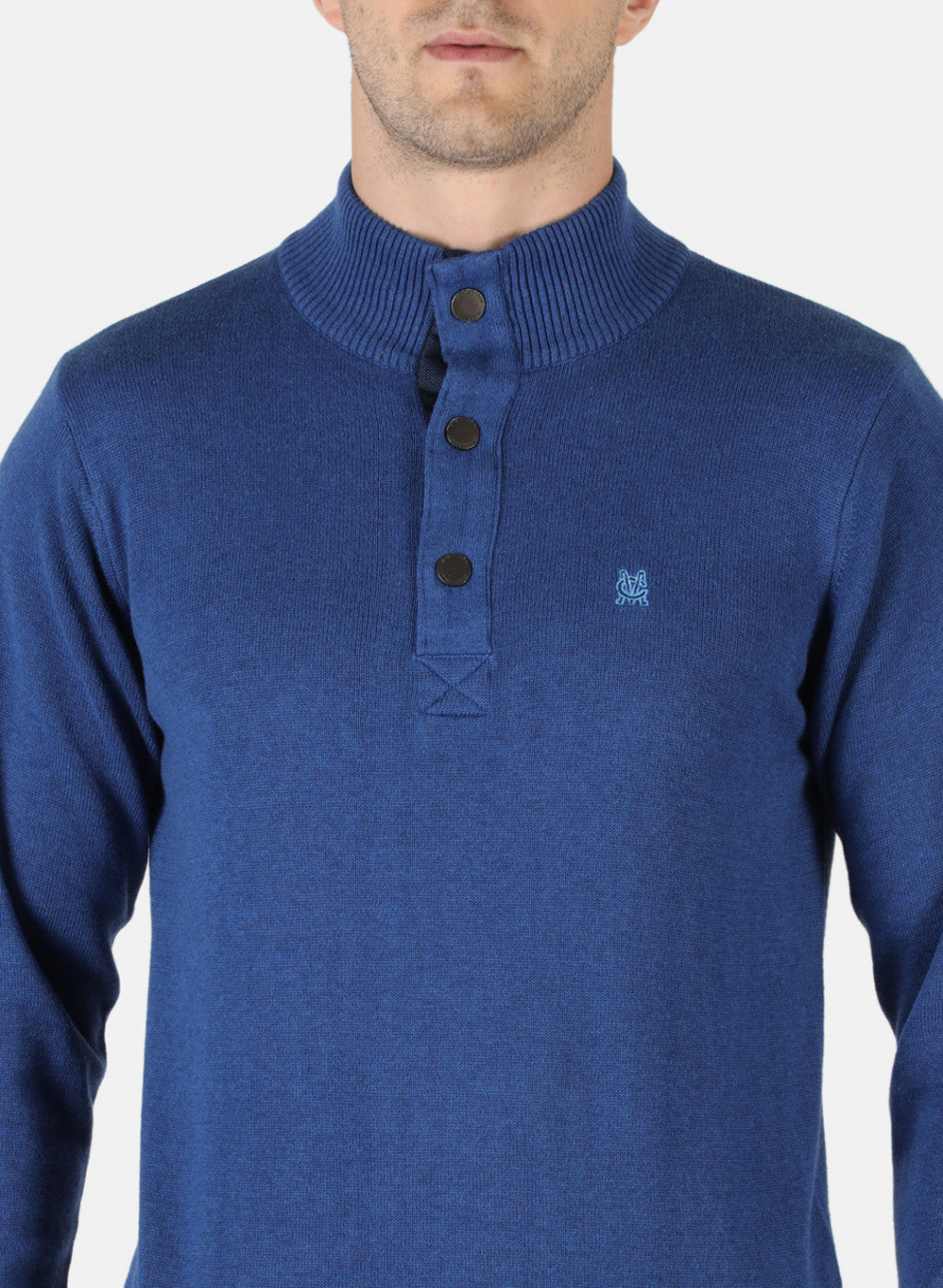 Men Blue Solid Pullover