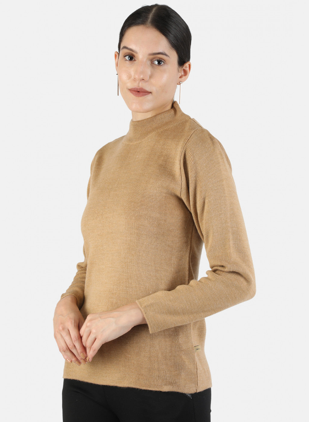 Women Brown Solid Sceavy