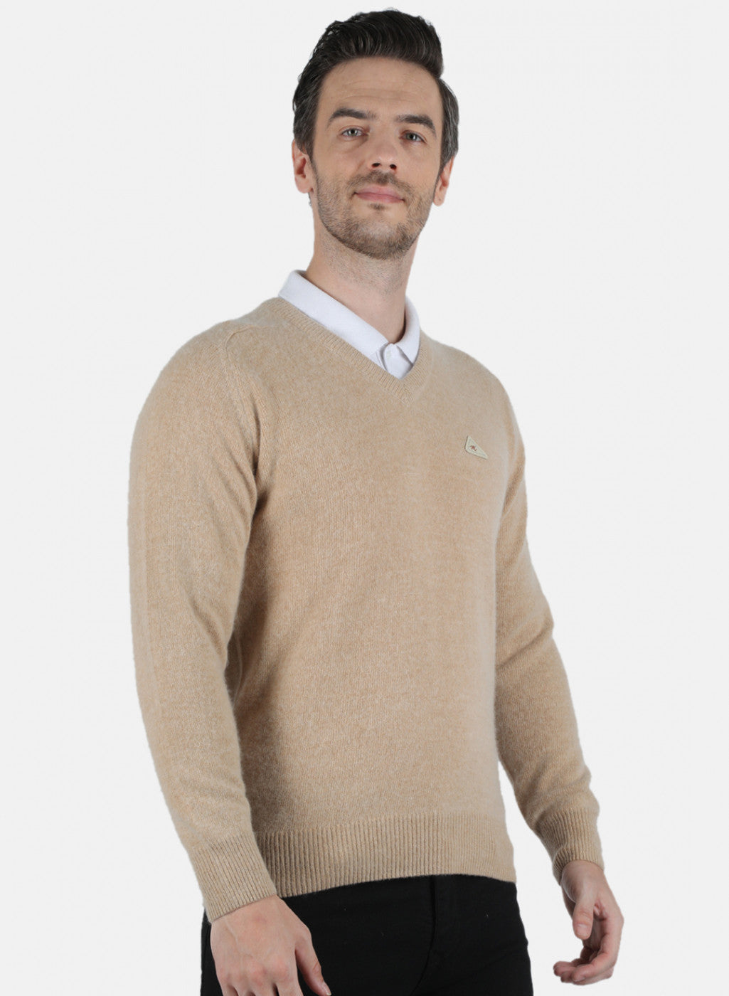 Men Beige Solid Pullover