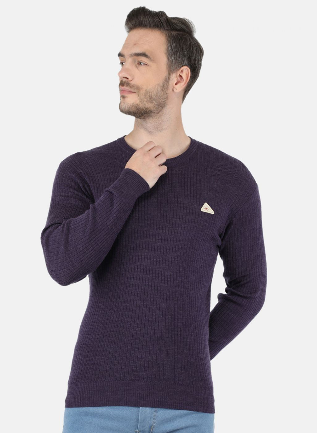 Men Purple Solid Pullover