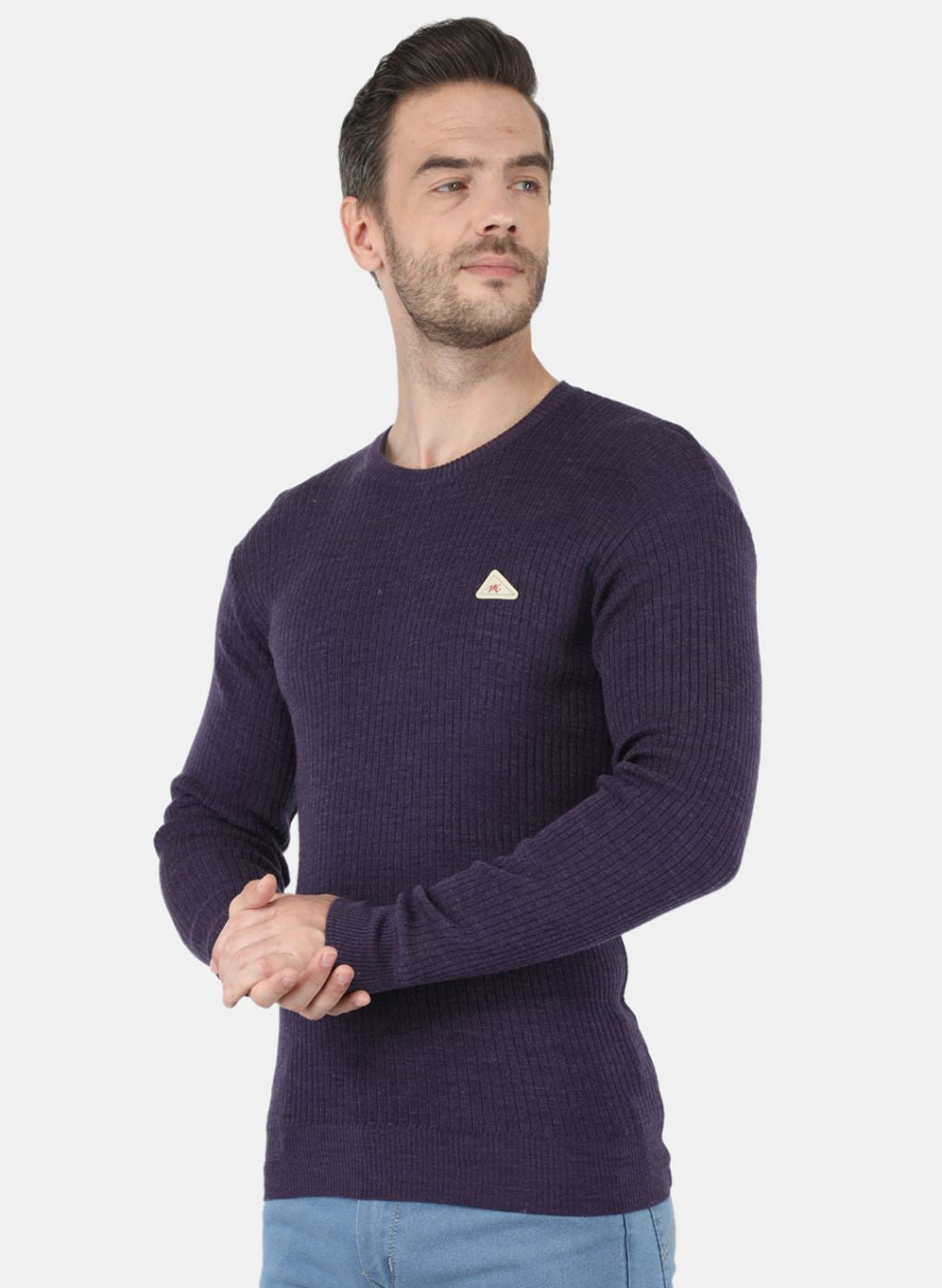 Men Purple Solid Pullover